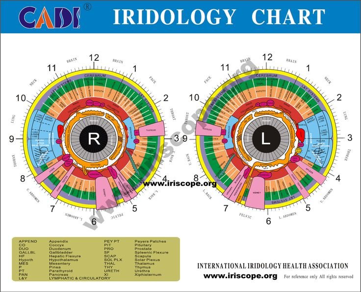 MAIKONG Iridology Camera and Software