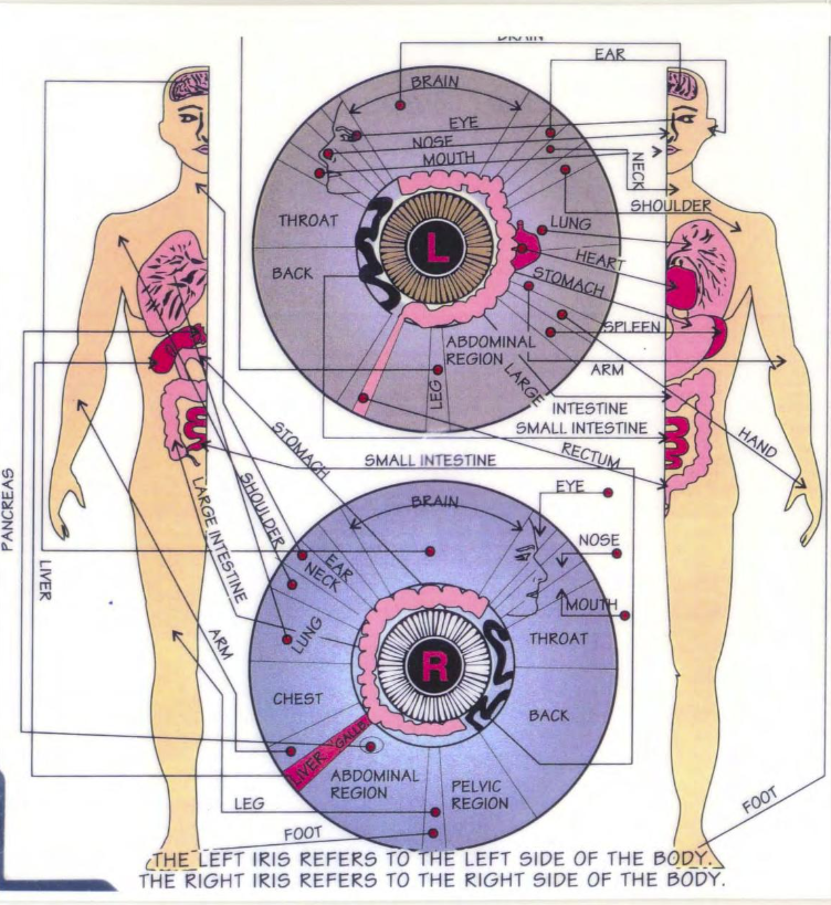 dr jensen iridology